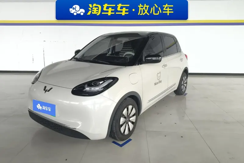 Wuling Bingo, 2024