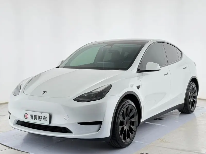 Tesla Model Y Edition, 2024 — фото 1