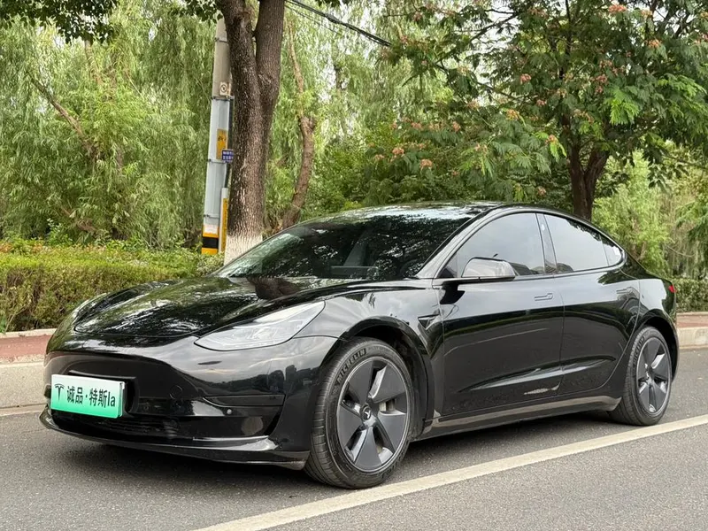 Tesla Model 3 Edition, 2022 — фото 1