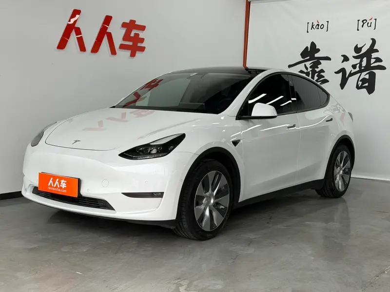 Tesla Model Y Standard Range Edition, 2021 — фото 1