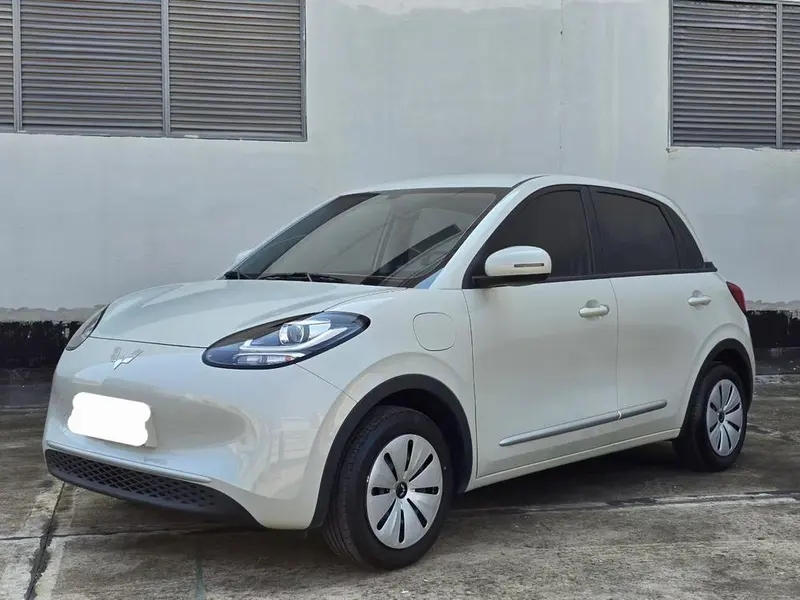 Wuling Bingo, 2024