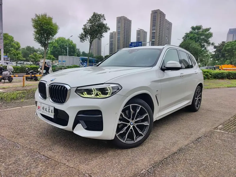 BMW X3 xDrive30i Leading Version M Sport, 2020 — фото 1