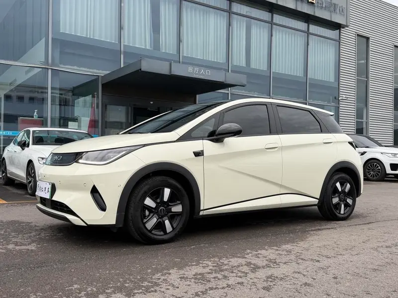 BYD Dolphin Smart Drive Edition 410KM Fashion Edition, 2025 — фото 1