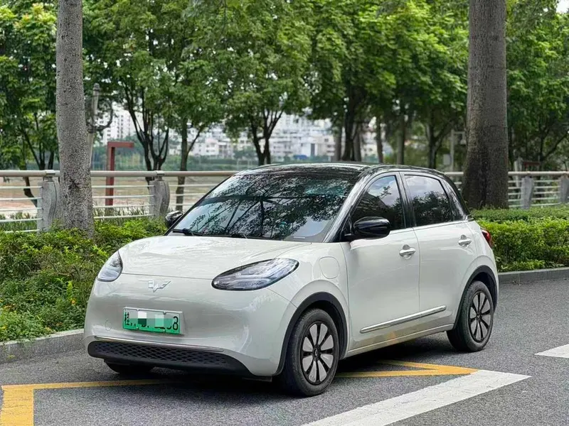 Wuling Bingo, 2023