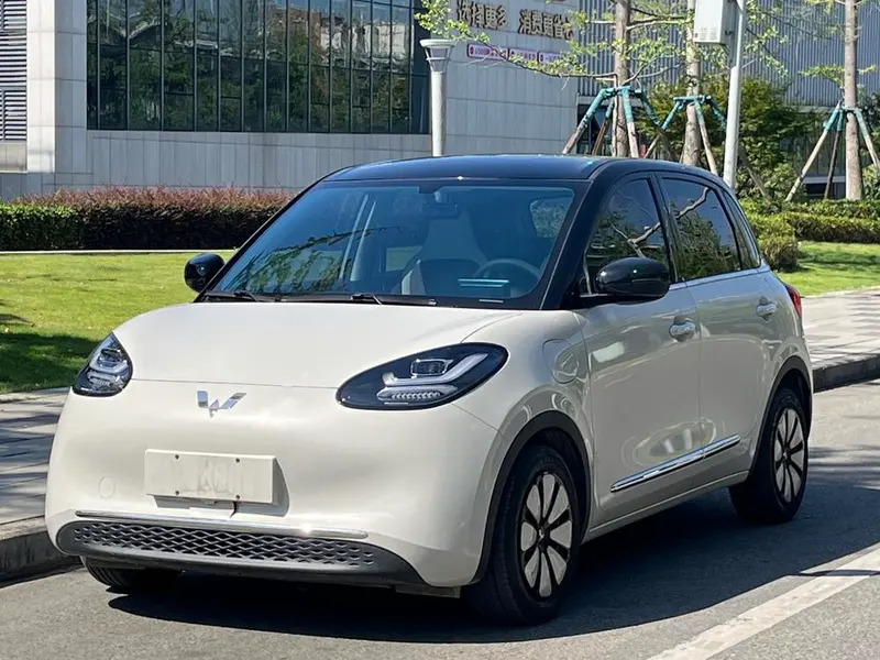 Wuling Bingo, 2025