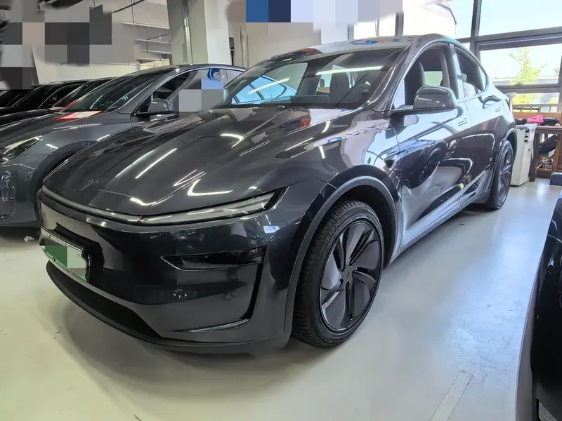 Tesla Model Y Long Range AWD Edition, 2025 — фото 1