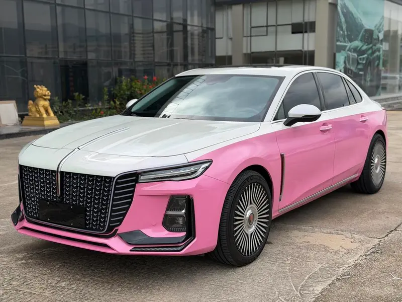Hongqi H5, 2025