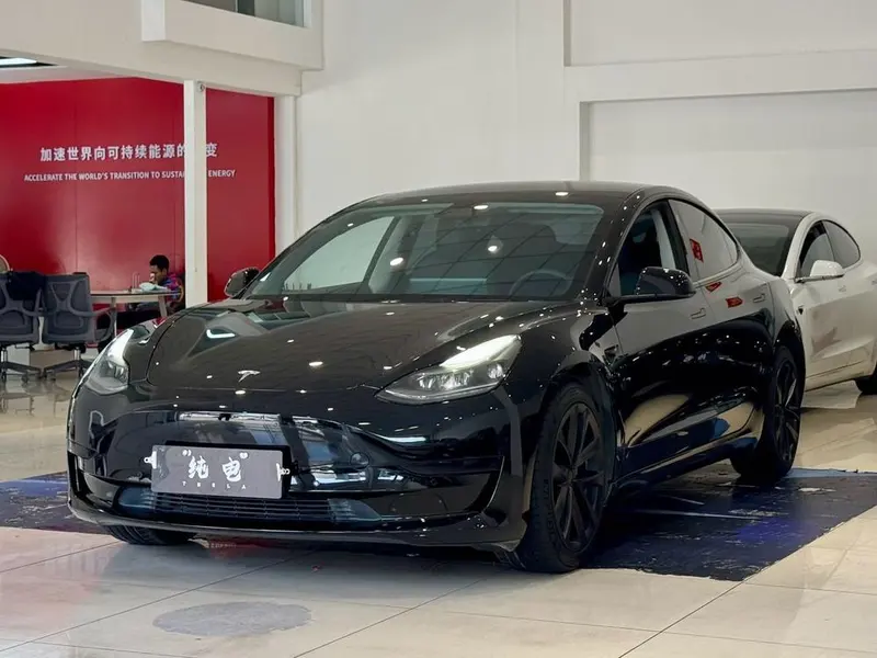 Tesla Model 3 Standard Range RWD Upgraded Edition, 2021 — фото 1