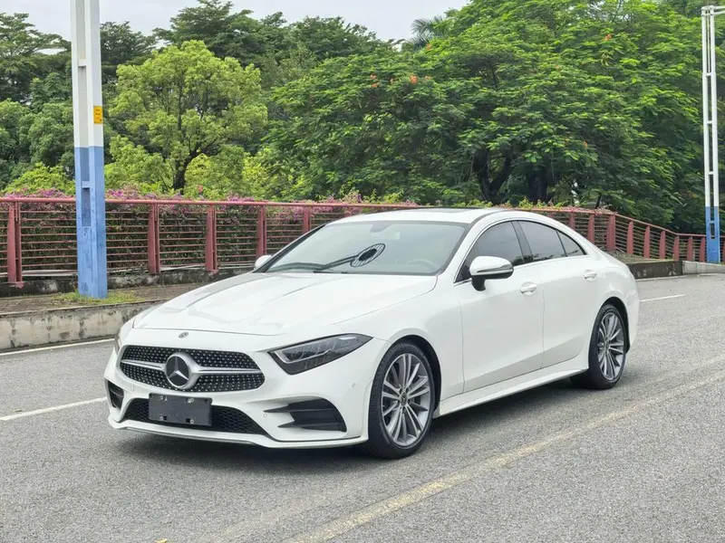 Mercedes-Benz CLS CLS 300 Version, 2020 — фото 1