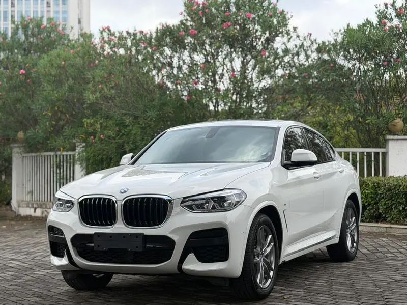 BMW X4 xDrive25i M Sport, 2020 — фото 1