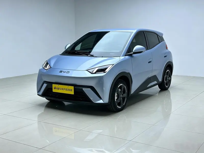 BYD Seagull, 2024