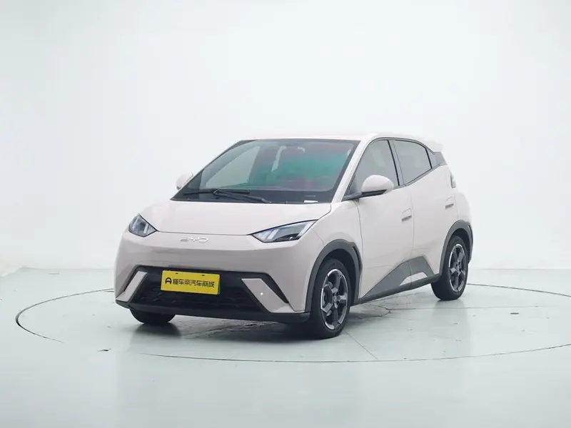 BYD Seagull, 2024