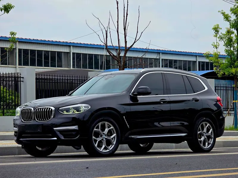 BMW X3 xDrive28i Luxury, 2019 — фото 1