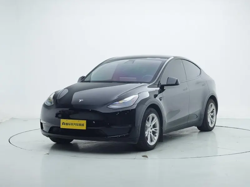 Tesla Model Y Standard Range Edition, 2021 — фото 1