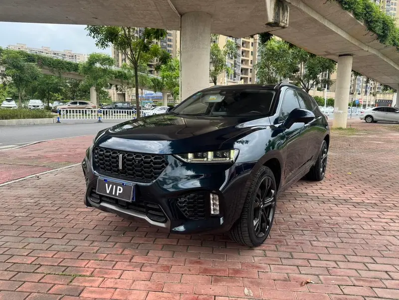 Wey VV7, 2019