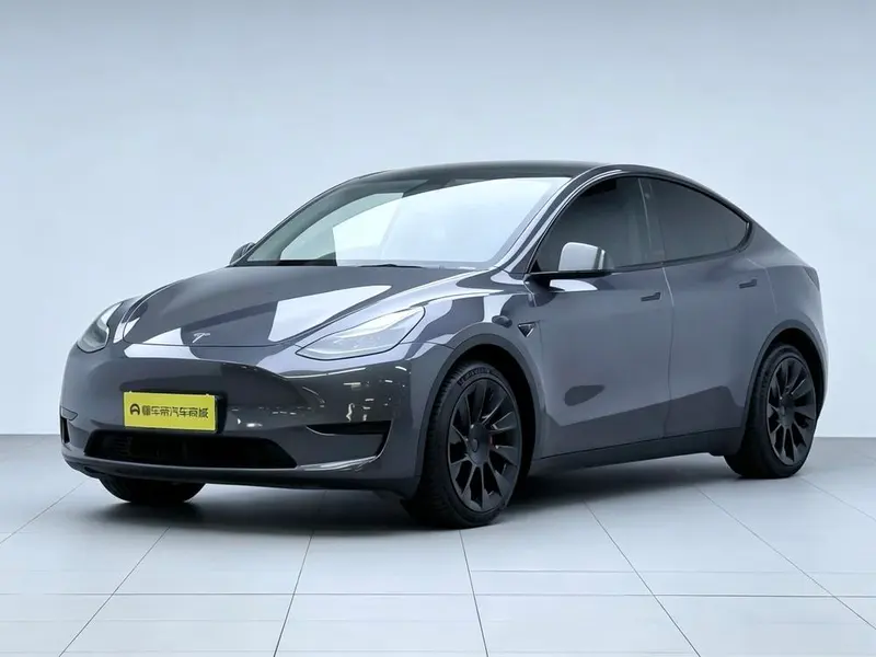 Tesla Model Y Edition, 2022 — фото 1