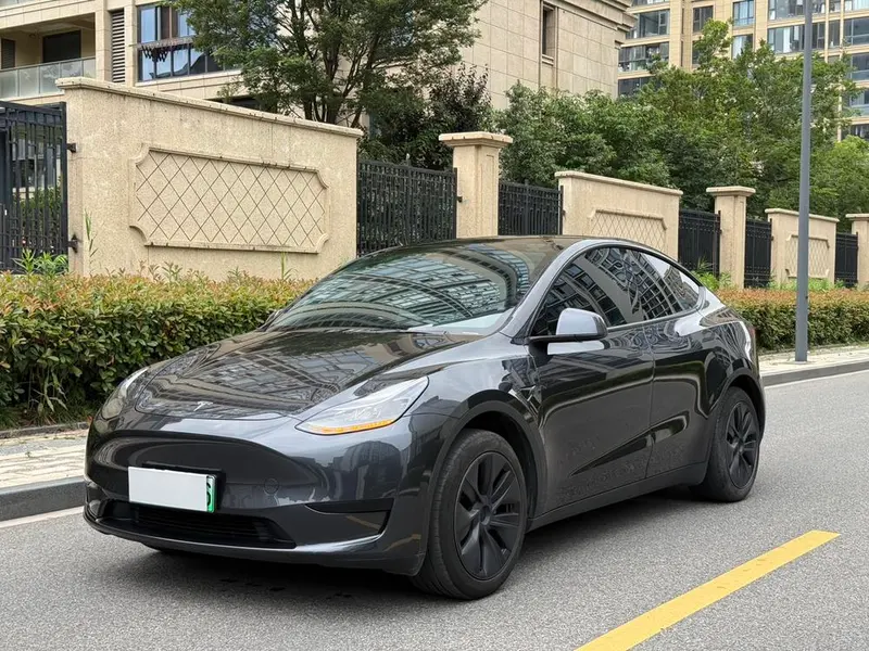Tesla Model Y Edition, 2024 — фото 1