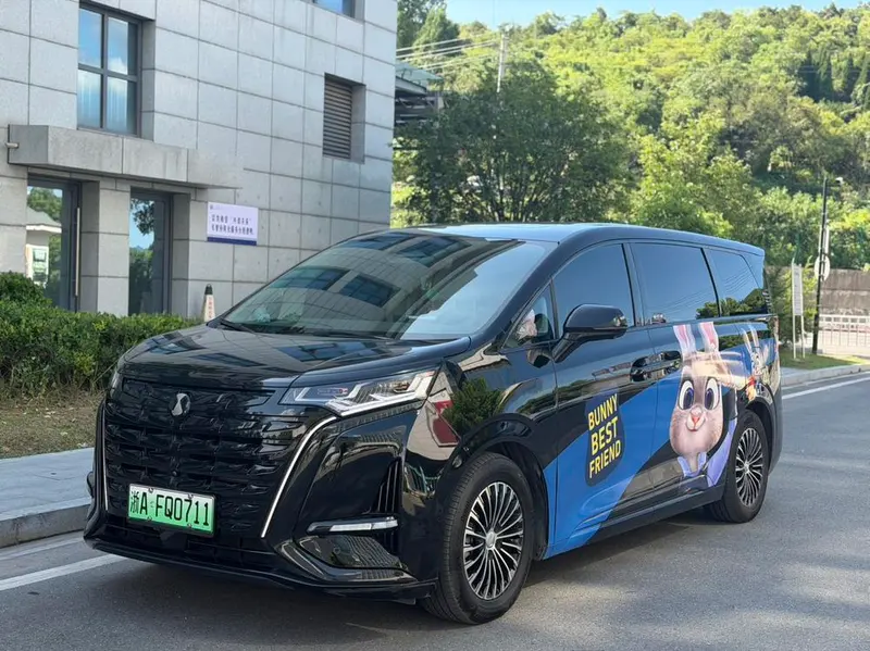 Denza D9 DM, 2022