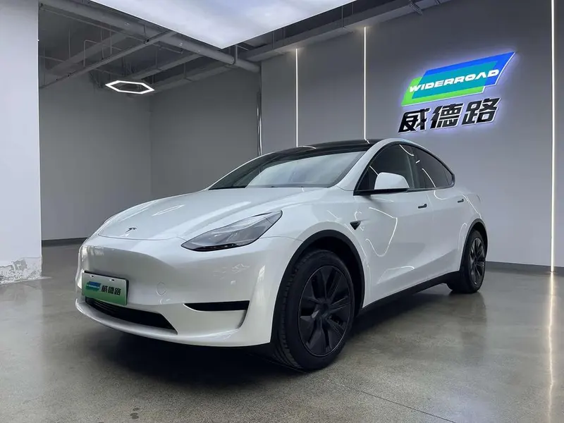 Tesla Model Y Edition, 2024 — фото 1