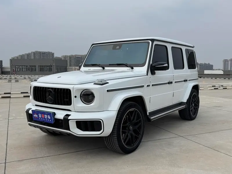 Mercedes-Benz G-Class G 500, 2020 — фото 1