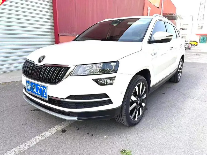 Skoda Karoq, 2021
