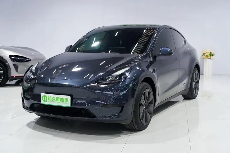 Tesla Model Y Edition, 2024 — фото 1