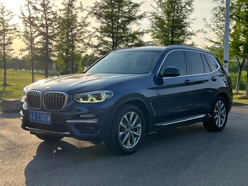BMW X3 xDrive25i Luxury, 2019 — фото 1