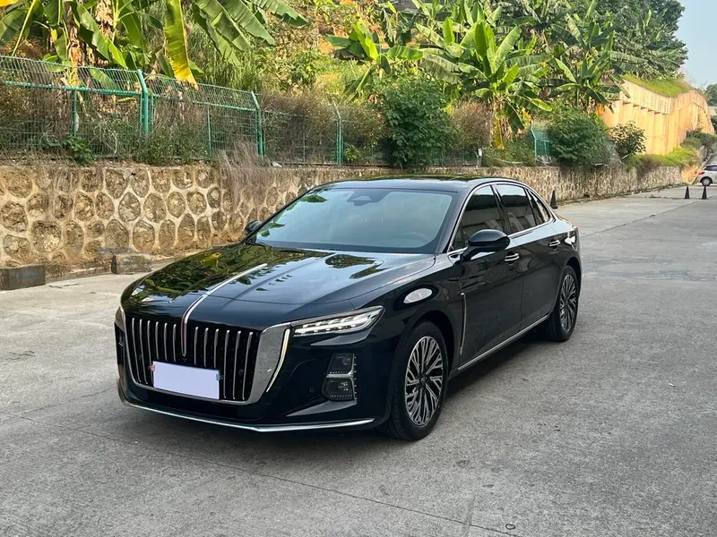 Hongqi H5, 2024