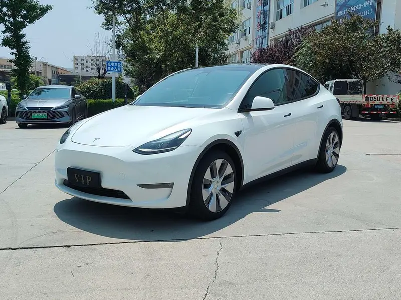 Tesla Model Y Long Range AWD Edition, 2021 — фото 1