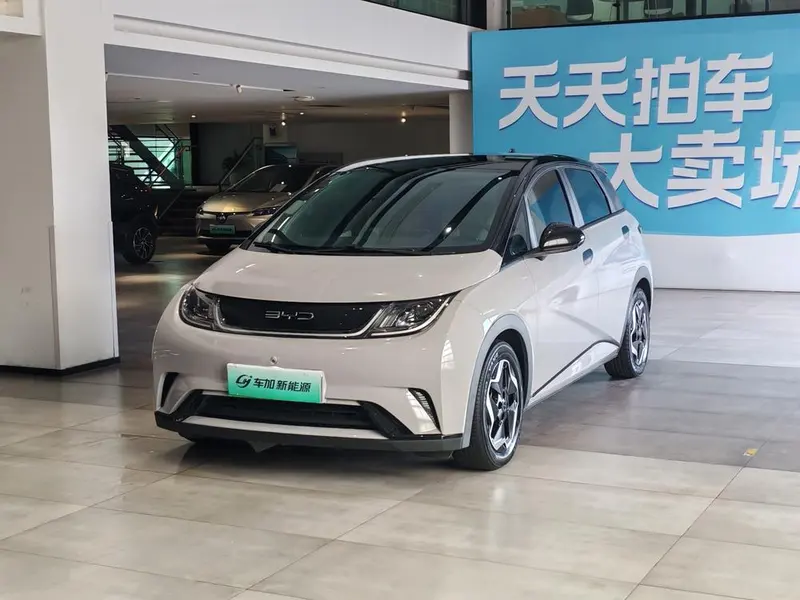 BYD Dolphin Fashion Edition, 2021 — фото 1