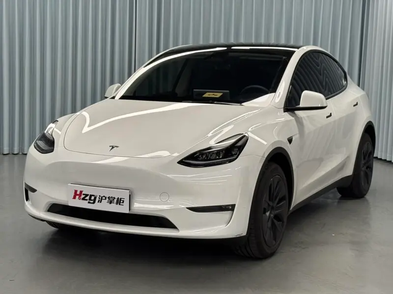 Tesla Model Y Long Range AWD Edition, 2024 — фото 1