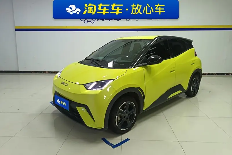 BYD Seagull, 2024