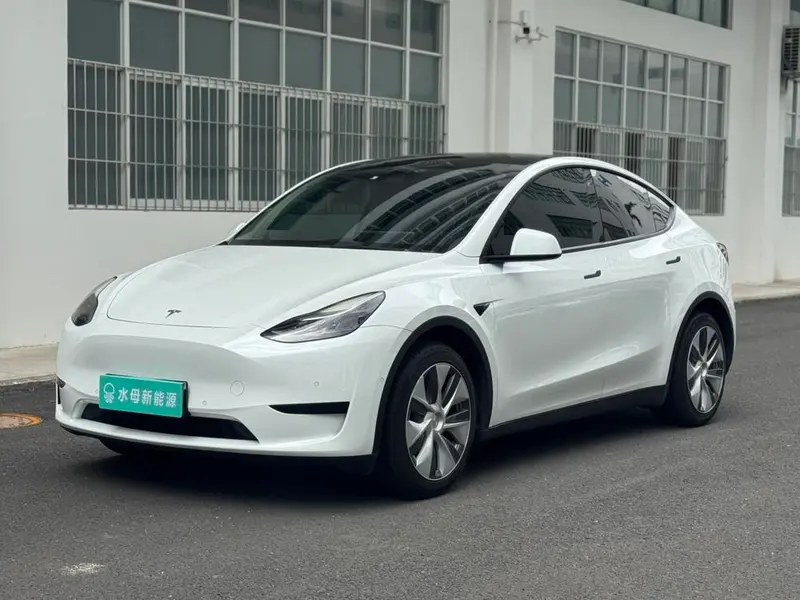 Tesla Model Y Edition, 2022 — фото 1