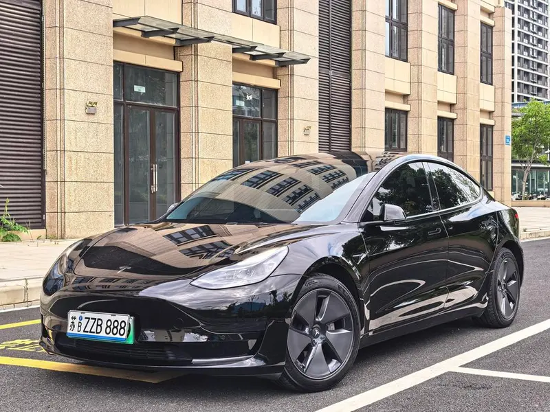 Tesla Model 3 Standard Range RWD Upgraded Edition 3D1, 2021 — фото 1