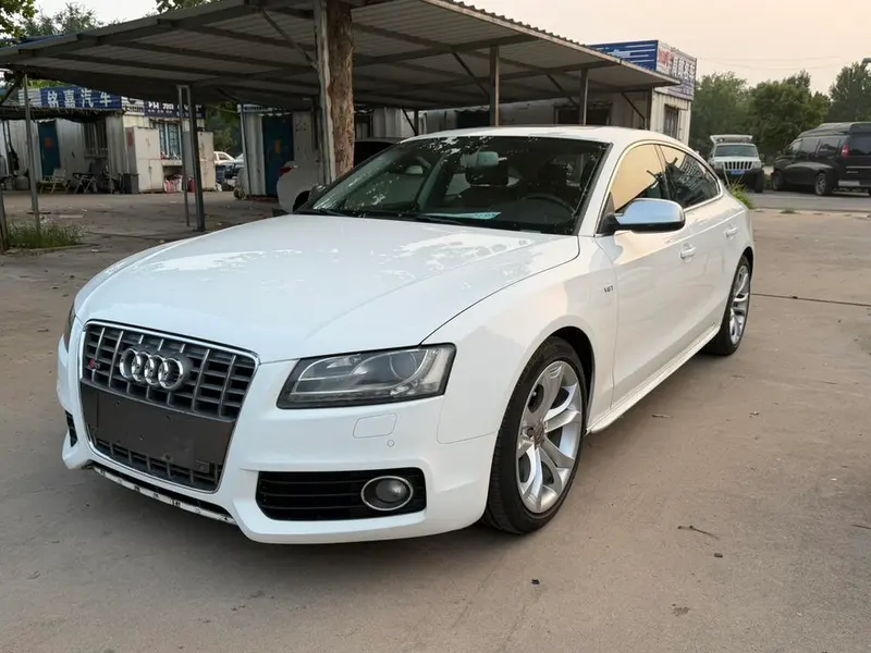 Audi S5, 2010