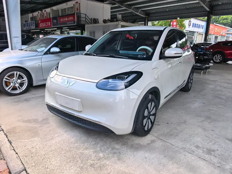 Wuling Bingo, 2024