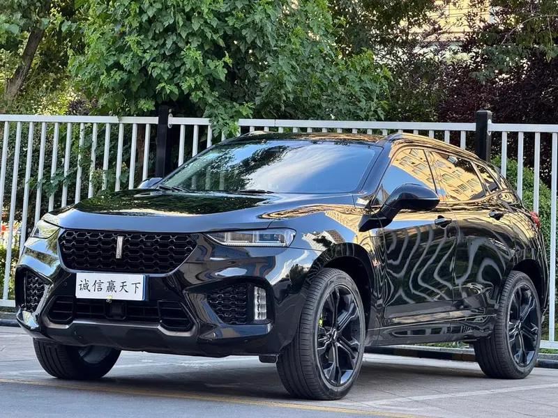 Wey VV7, 2017