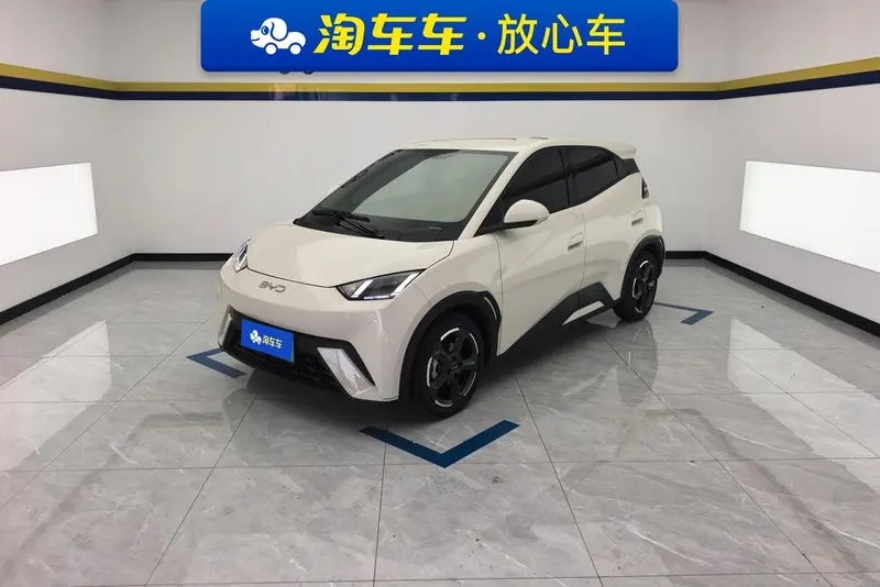 BYD Seagull, 2024