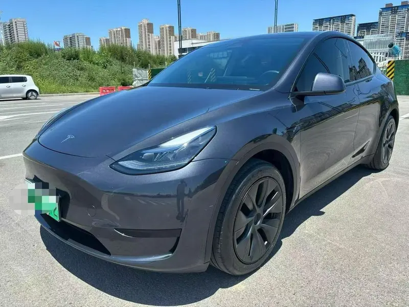 Tesla Model Y Edition, 2024 — фото 1
