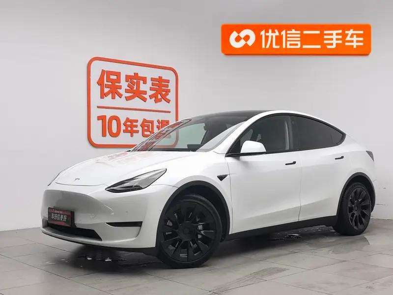 Tesla Model Y Long Range AWD Edition 3D3/3D7, 2021 — фото 1