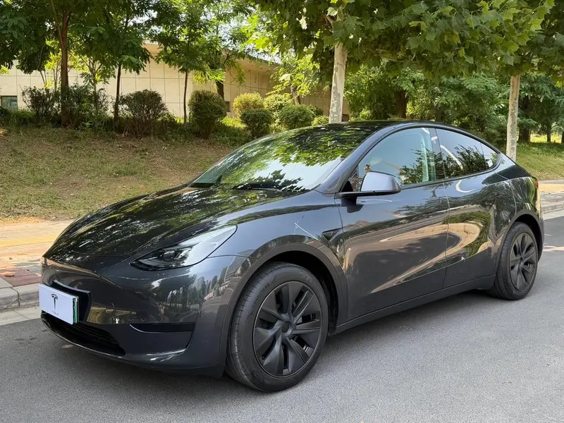Tesla Model Y Edition, 2024 — фото 1
