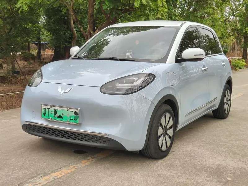 Wuling Bingo, 2023