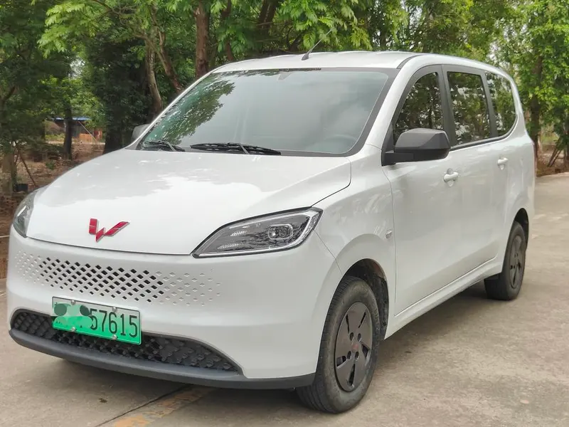 Wuling Hongguang EREV, 2025