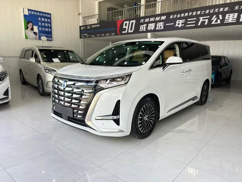 Denza D9 DM, 2024