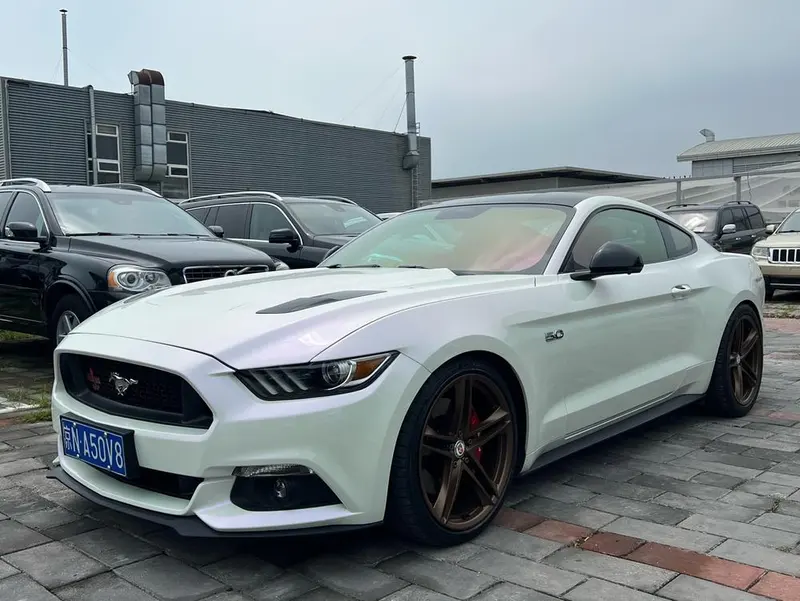 Ford Mustang 5.0L GT Спорт, 2016 — фото 1