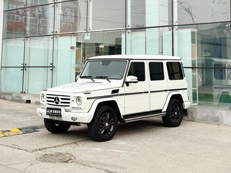 Mercedes-Benz G-Class G 500, 2013 — фото 1