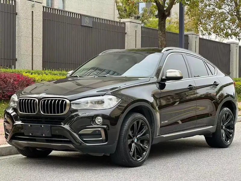 BMW X6 xDrive35i Leading Version, 2017 — фото 1
