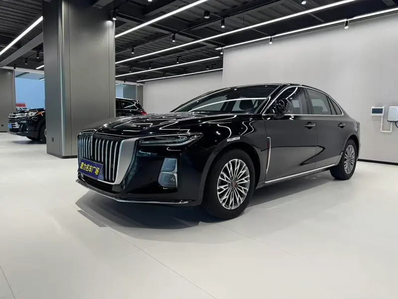 Hongqi H5, 2024