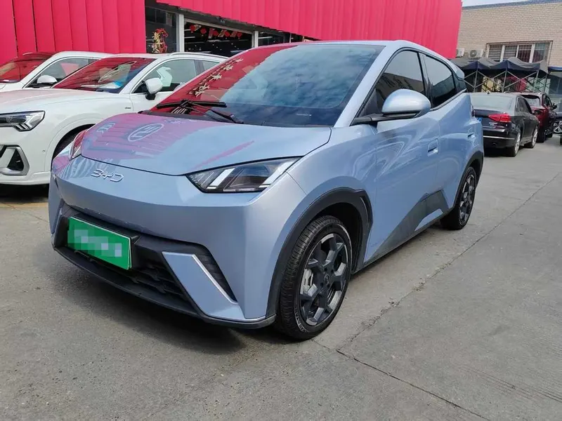 BYD Seagull, 2024