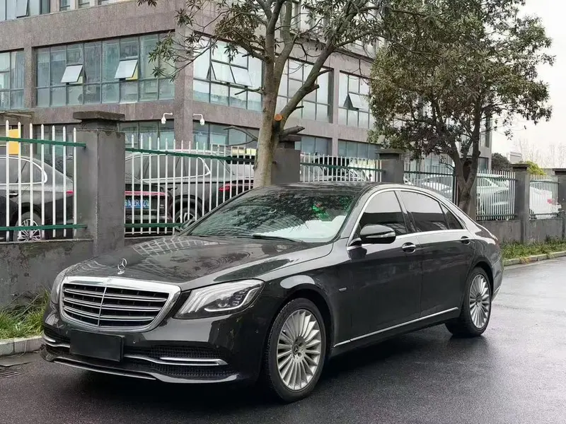 Mercedes-Benz S-Class S 350 L Business Version Refined Edition, 2020 — фото 1